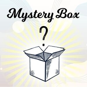 Men's Long Sleeve Mystery Box